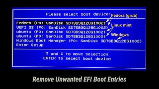 Remove Old EFI Entries from Boot Menu  Without using CMD Commands [upl. by Anastase]