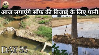 day35  आज फिर से है पानी की बारी theLifeofvikramChoudhary vlog farming agriculture [upl. by Eyar]