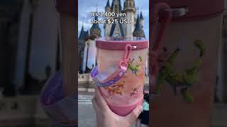 I love Tokyo Disneyland Popcorn Buckets [upl. by Rats]