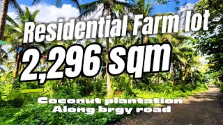 V64224 Alfonso cavite farm lot 3000 sqm coconut plantation along barangay road [upl. by Laynad]