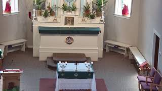 8am Mass at St Mary of Lourdes Live Stream [upl. by Malissa404]