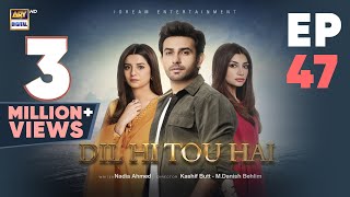 Dil Hi Tou Hai Episode 48  Ali Ansari  Zoya Nasir  24 Nov 2023  ARY Digital [upl. by Sined381]