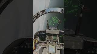 My First Ever Dogfight in DCS 3  dcs dcsworld dogfight shorts aircombat military f18 [upl. by Laraine]