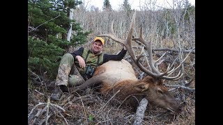 Elk Rifle Hunting in Wyoming Giant Last Day Bull Elk [upl. by Nawat]