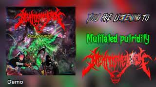 NekroskelekoN  Mutilated putriditY Official Visualiser [upl. by Lisk]