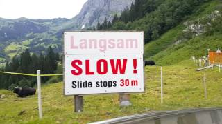 Grindelwald toboggan Switzerland 스위스 그린델발트 핑슈텍 터보건 후기 [upl. by Nho]