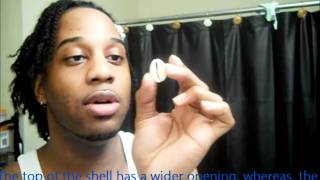 36  How to Put Shell Beads in Your Twists [upl. by Dahcir956]