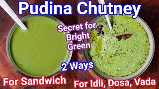 Multipurpose Pudina Chutney  Mint Chatni 2 Ways  Pudina Ki Chatni for Sandwich Idli Dosa amp Rice [upl. by Preiser]