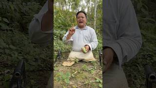 How to ripen bananas quickly shorts bushcraft outdoor viralvideo camping forest skills [upl. by Yesoj]