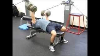 1 Arm Dumbbell Bench Press w Iso Hold [upl. by Godbeare640]