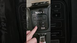 Ninja Air Fryer Review Can This 4in1 Kitchen Gadget Really Replace Your Oven [upl. by Srevart]