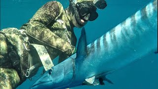 SPEARFISHING WAHOO Zululand South Africa Series Trailer [upl. by Yuria953]