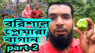 পেয়ারা বাগান বরিশাল॥ আটঘর কুড়িয়ানা॥ দ্বিতীয় পর্ব ॥ peyara bagan barisal atghar 2nd part [upl. by Lower890]