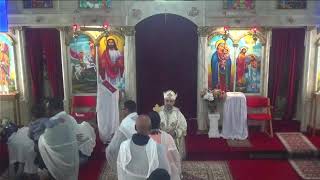 Medhanie Alem Ethiopian Orthodox Tewahedo Church KC Live Stream [upl. by Tabib921]