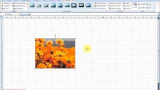 How to insert image into the cell  Excel 2007 [upl. by Urd]