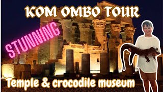 The Enigmatic Beauty of Kom Ombo Temple  Egypt Evening tour amp crocodile tour komombo egypt [upl. by Bunder]