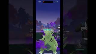 モルペコ最強。「クリフ編」ポケモンgo ロケット団にはこれで勝てる！かも。 [upl. by Eniamej]