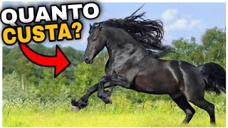 7 Cavalos mais Caros do Mundo [upl. by Evangelist819]