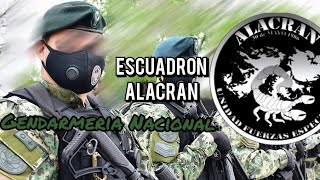 Escuadron Alacran de la Gendarmeria Nacional Argentina [upl. by Amoritta]