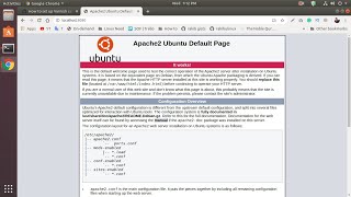 How to install and Configuration Varnish cache on Ubuntu Server [upl. by Anaitak]