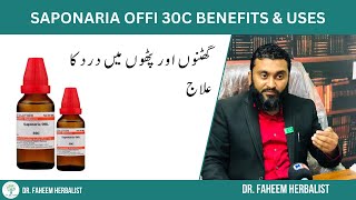 Saponaria Offi 30C BENEFITS amp USES  Dr Fahim Herbalist [upl. by Rramal161]