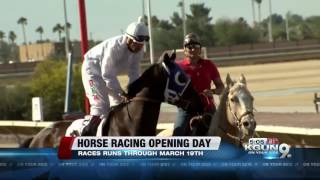 Horse racing returns to Rillito Race Track [upl. by Lamonica874]