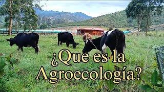 Introducción a la Agroecología Entendiendo sus Bases Fundamentales🌱🌳🌳 [upl. by Eliseo490]