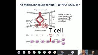 Severe Combined Immunodeficiency Grunebaum [upl. by Arela]