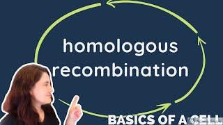 HOMOLOGOUS RECOMBINATION  in ENGLISH [upl. by Maurene]