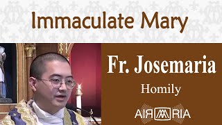 Spouse of the Holy Spirit  Dec 08  Homily  Fr Josemaria [upl. by Browne294]