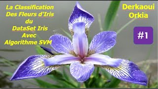 1 SVM avec Python et le Dataset iris [upl. by Dominus]