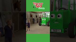 Whats A Racehorse 🐎  Tractor Ted Shorts  Tractor Ted Official Channel [upl. by Southard]