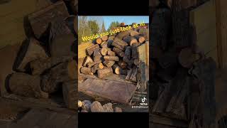 Round wood deliveries are fast maine firewood delivery firewoodbusiness [upl. by Ainaznat]