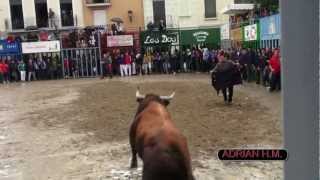 ALMASSORACS12102012 ESPECIAL GRAN TORO CERRIL DE BUENAVISTA [upl. by Amehsyt]