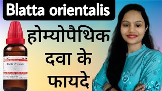 Blatta orientalis Blatta orientalis Homeopathic medicine Blatta orientalis mother tincture [upl. by Fonzie]