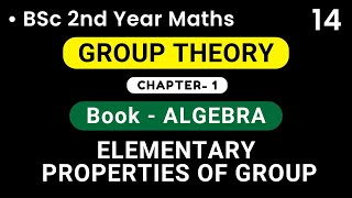 Elementary Properties of Groups  Group Theory  Bsc 2nd Year [upl. by Novanod]