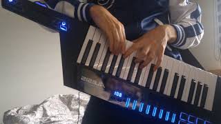 Overdrive Keytar Solo Lazerhawk Cover [upl. by Ennayelhsa737]