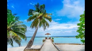 Snorkeling at housereef of Ellaidhoo by Cinnamon resort Maldives [upl. by Alleon]