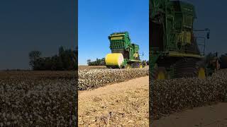 John Deere Cotton harvester cotton johndeere agriculturalmachinery automobile cottonindustry [upl. by Saum]