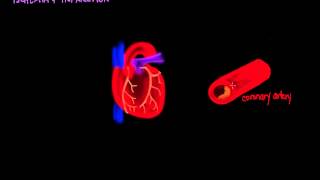 Ischemia and Infarction [upl. by Lyrret]