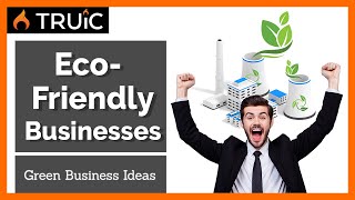 6 Eco Friendly Business Ideas Green Businesses for 2024 [upl. by Desiri]