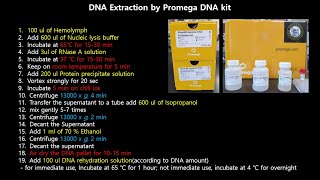 DNA extraction protocol by using kitWizard Genomic DNA Purification Kit Promega [upl. by Lleryd]