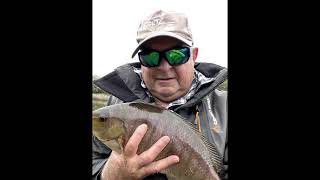 Big Luderick fishing outdoors fishingaustralia [upl. by God]