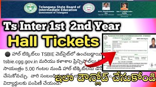 How To Get Ts Intermediate Hall Tickets 20233 download for intermediate hall tickets 2023 [upl. by Aizti]