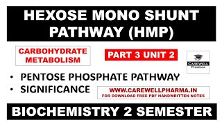 HMP Shunt Pathway  Part 3 Unit 2  biochemistry b pharm 2nd semester  Carewell Pharma [upl. by Lyn]