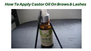 How To Apply Castor Oil On Brows amp Lashes [upl. by Kirad]