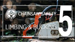 Chainsaw Safety  Limbing amp Bucking [upl. by Sammie]