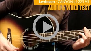 Levinson Guitars  CANYON LJ223 VS [upl. by Iek297]