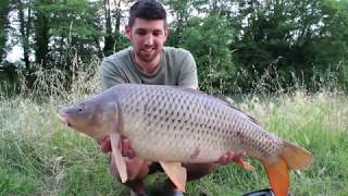 STARBAITS  INSIDE SESSION 5 48H SUR COURANTS ALTERNATIFS [upl. by Irrehc]