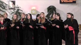 Bonus est Dominus Palestrina  zespół wokalny SINE NOMINE [upl. by Synned]